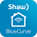 bluecurve-logo.png